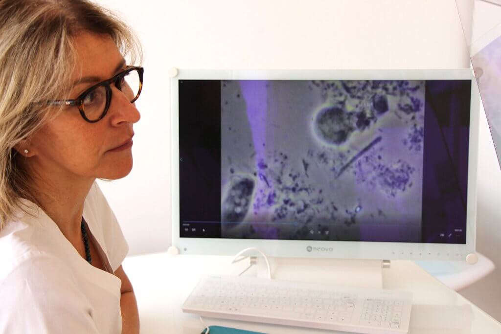 parodontie analyse microbiote